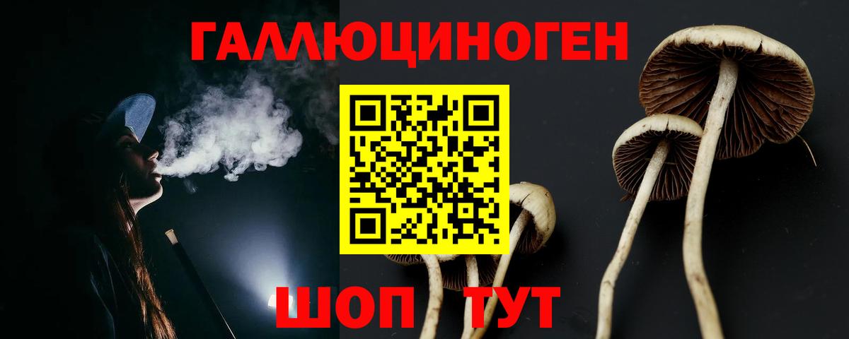 Обь  Псилоцибиновые грибы прущие грибы  Вход с VPN 